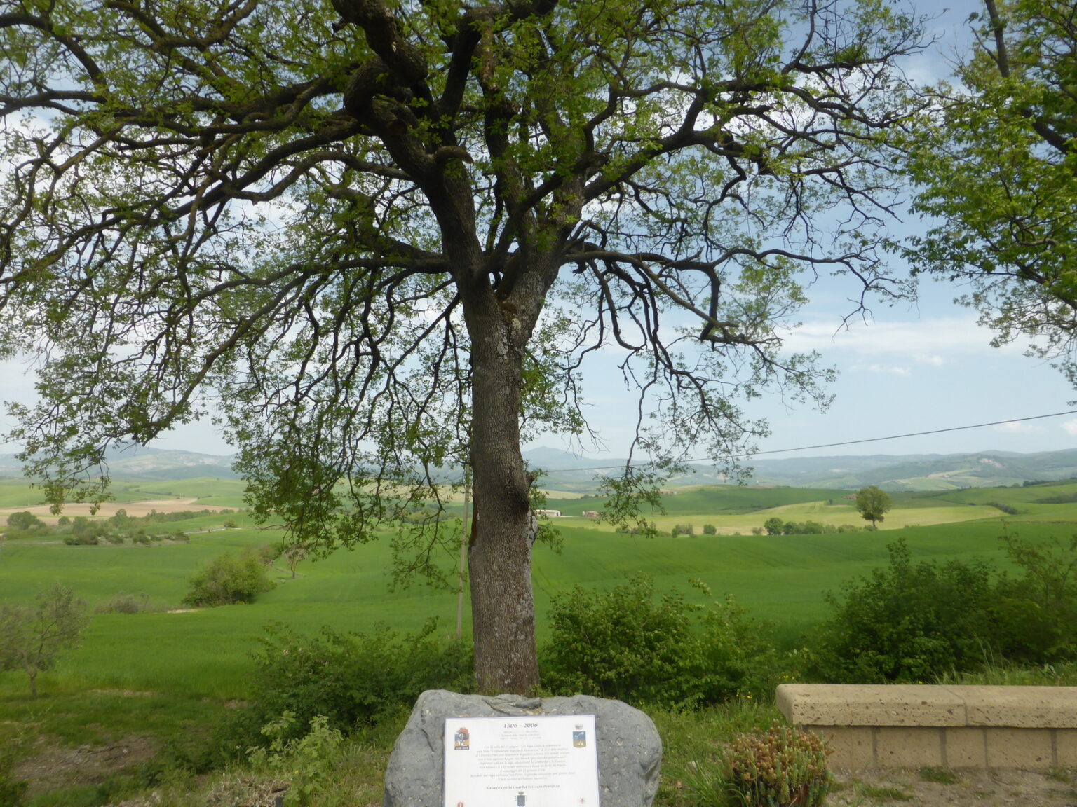De Quercia del Pellegrino